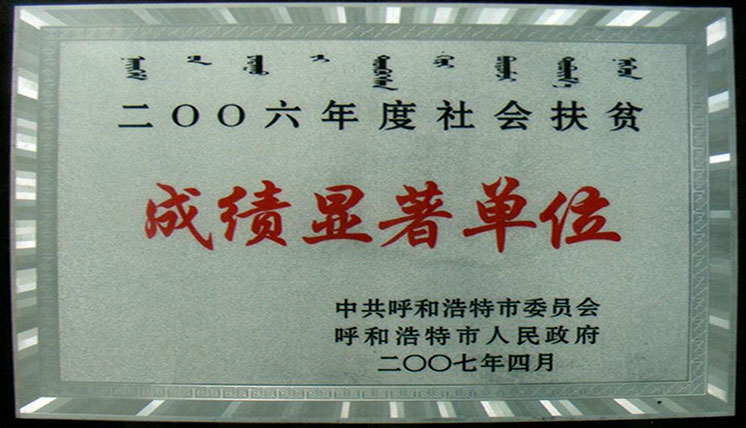 2006年度社会扶贫成绩显著名单